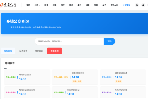东至人网党支部：开发公交查询小程序 贴心服务群众出行